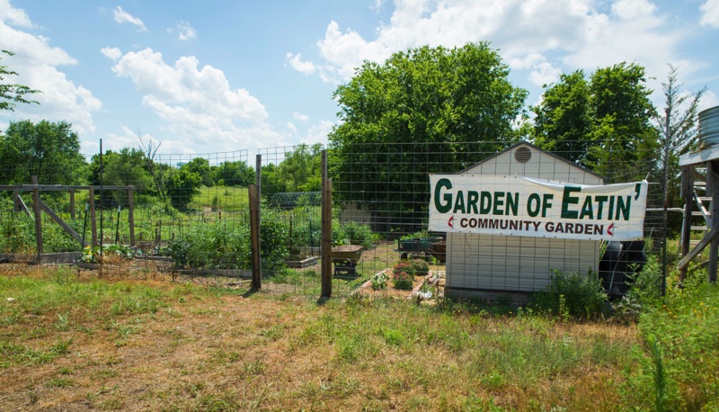 Photo of a community garden